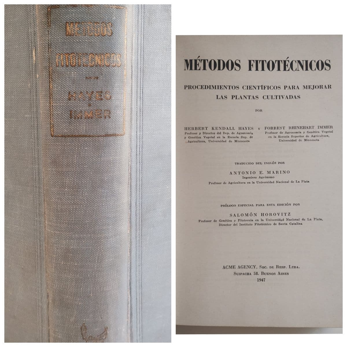 Métodos Fitotécnicos, mejora de plantas — Hayes, Immer, libro usado
