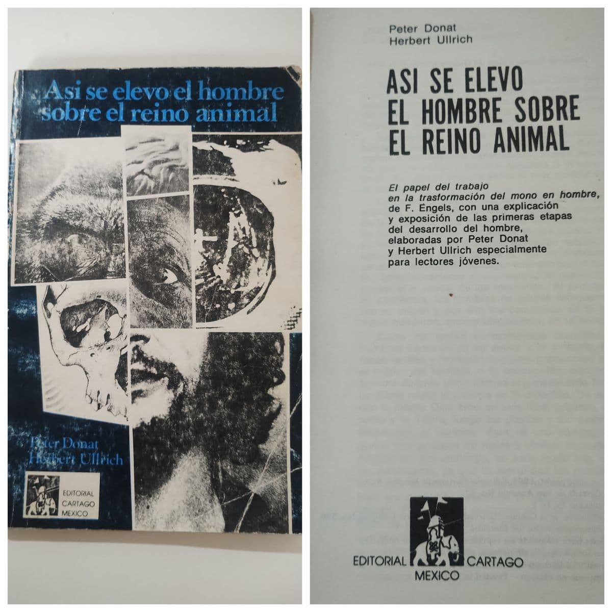 Así se elevó el hombre sobre el reino animal. Antropología — Peter Donat , libro usado