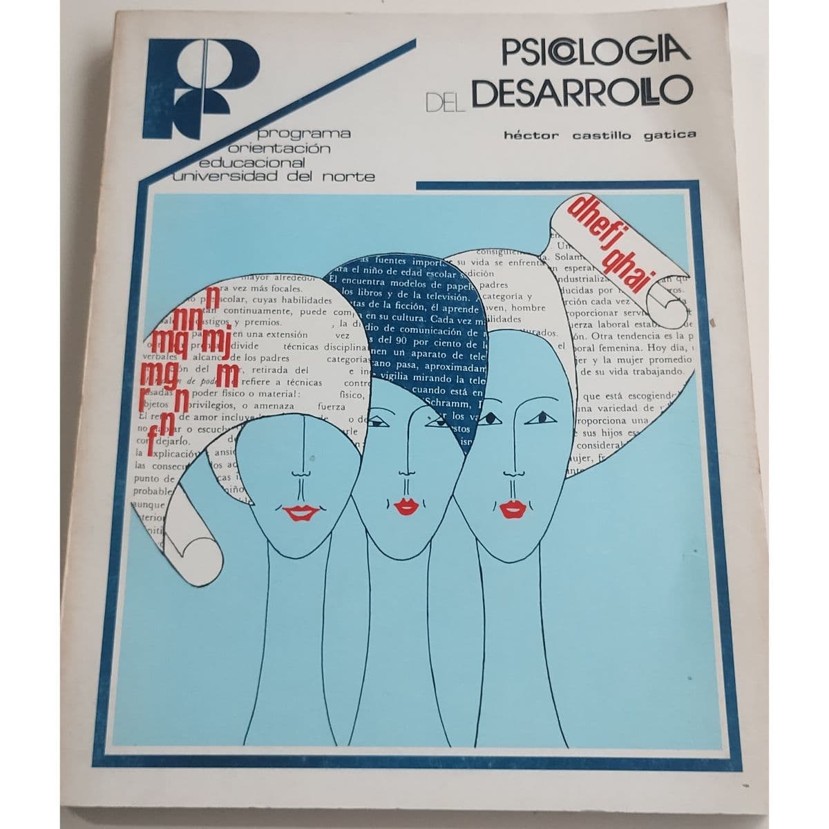 Psicología del Desarrollo — Héctor Castillo Gatica , libro usado (foto 1 de 3)