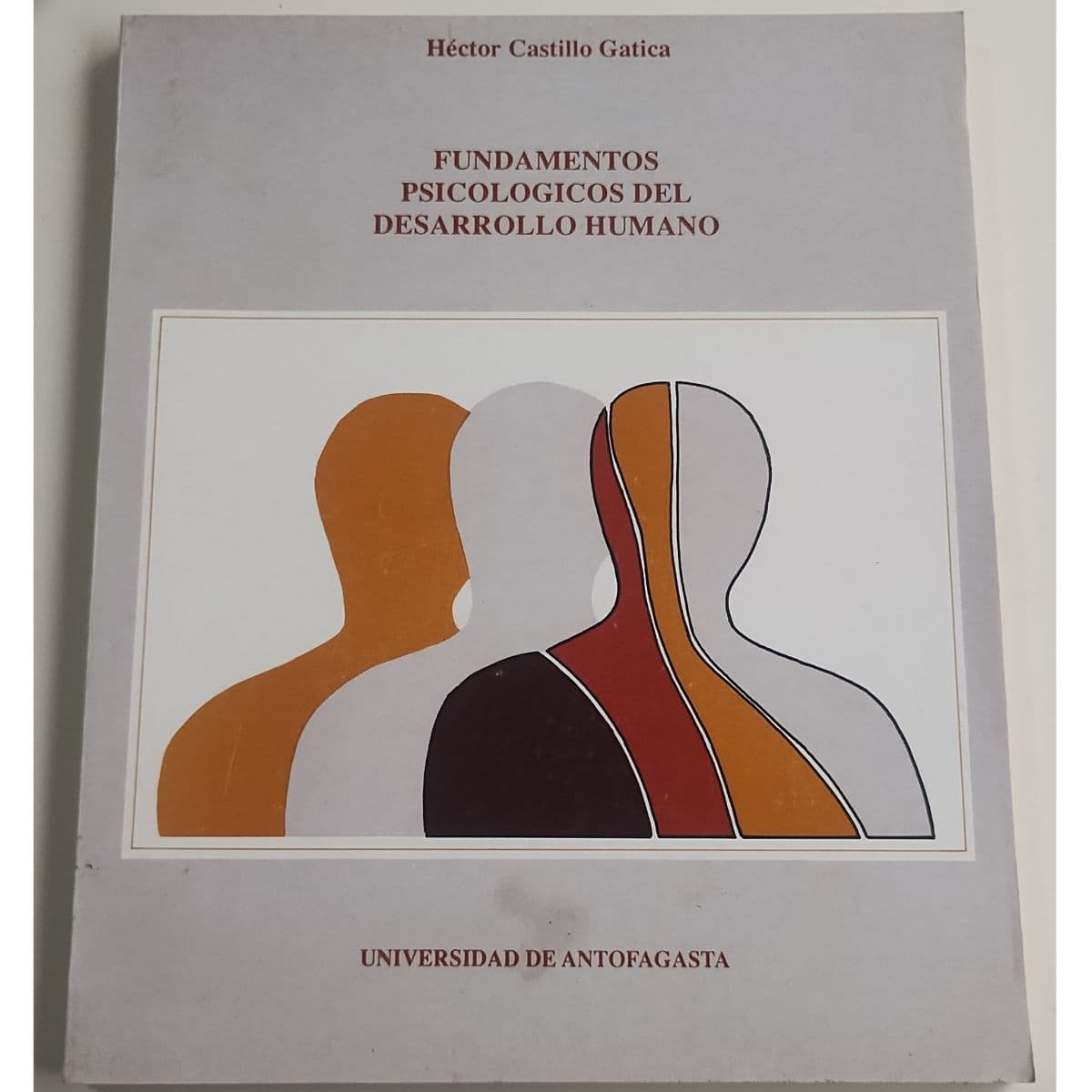 Fundamentos psicológicos del desarrollo humano — Héctor Castillo Gatica , libro usado (foto 1 de 2)