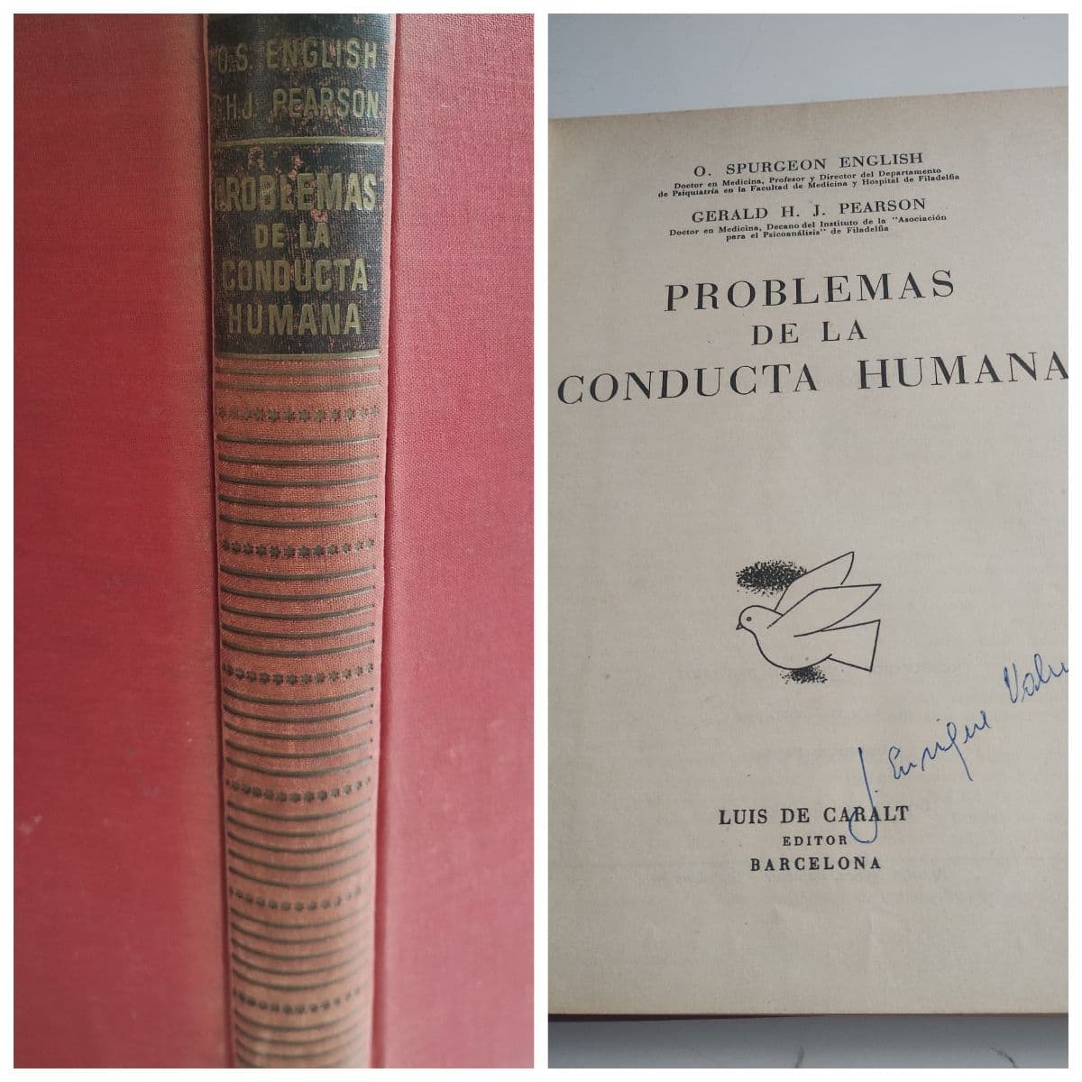 Problemas de la conducta humana — Spurgeon English, libro usado (foto 1 de 3)