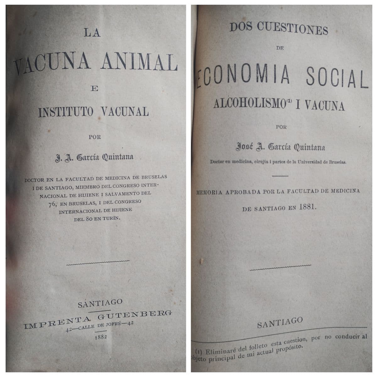Libro antiguo medicina La Vacuna Animal e Instituto Vacunal 1882 — Doctor García Quintana , libro usado (foto 1 de 4)
