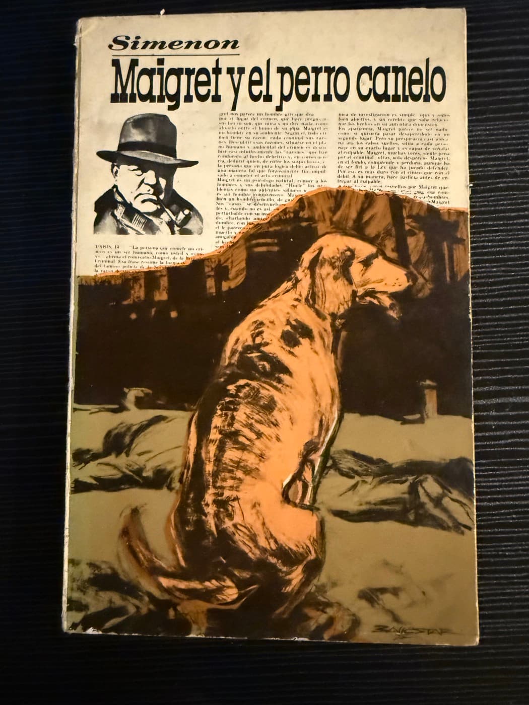 Maigret y el perro canelo — Georges Simenon, libro usado
