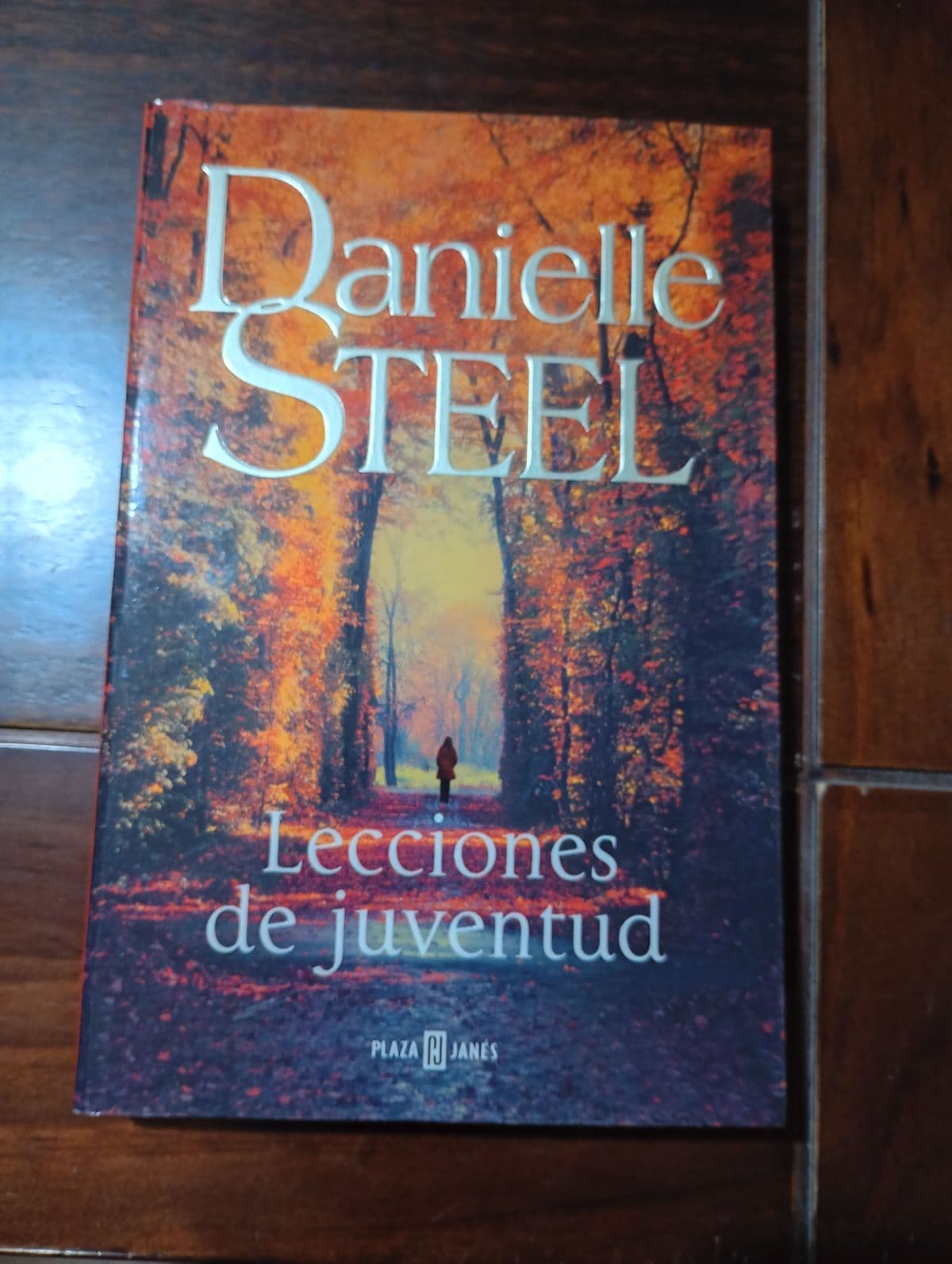Lecciones de Juventud / Moral Compass — Danielle Steel, libro usado (foto 1 de 4)