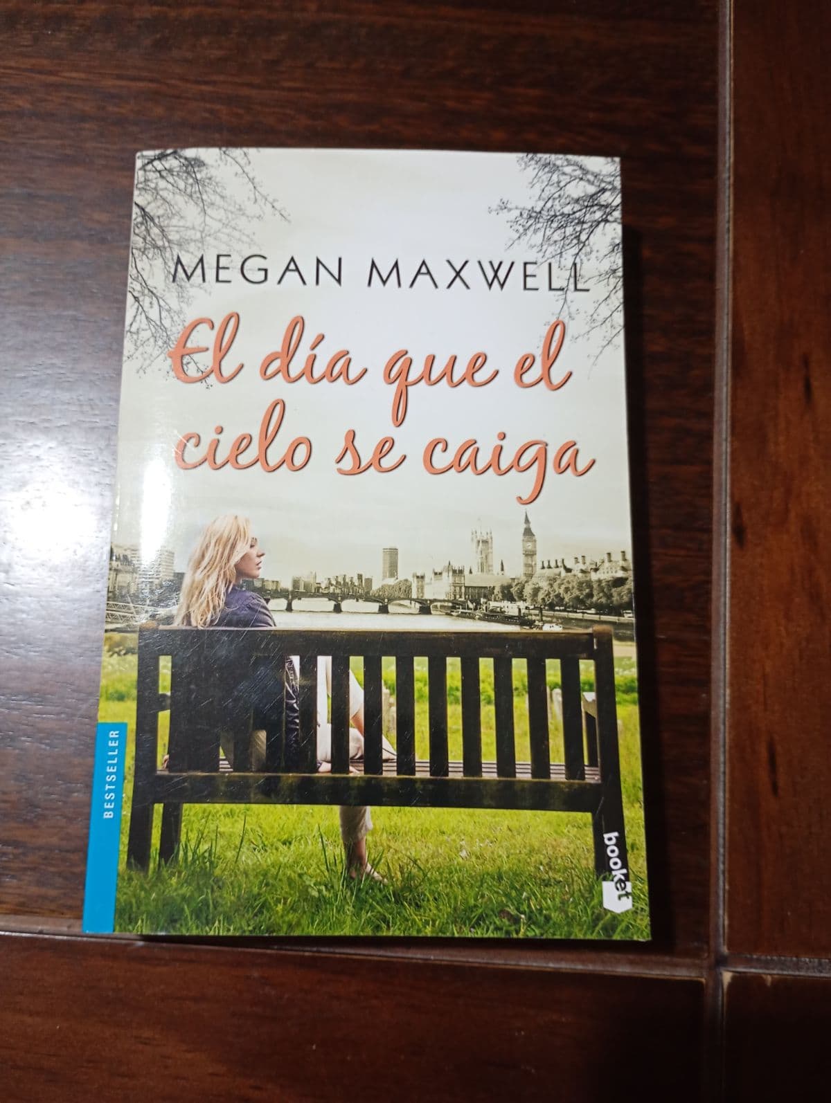 El día que el cielo se caiga — Megan Maxwell, libro usado (foto 1 de 4)