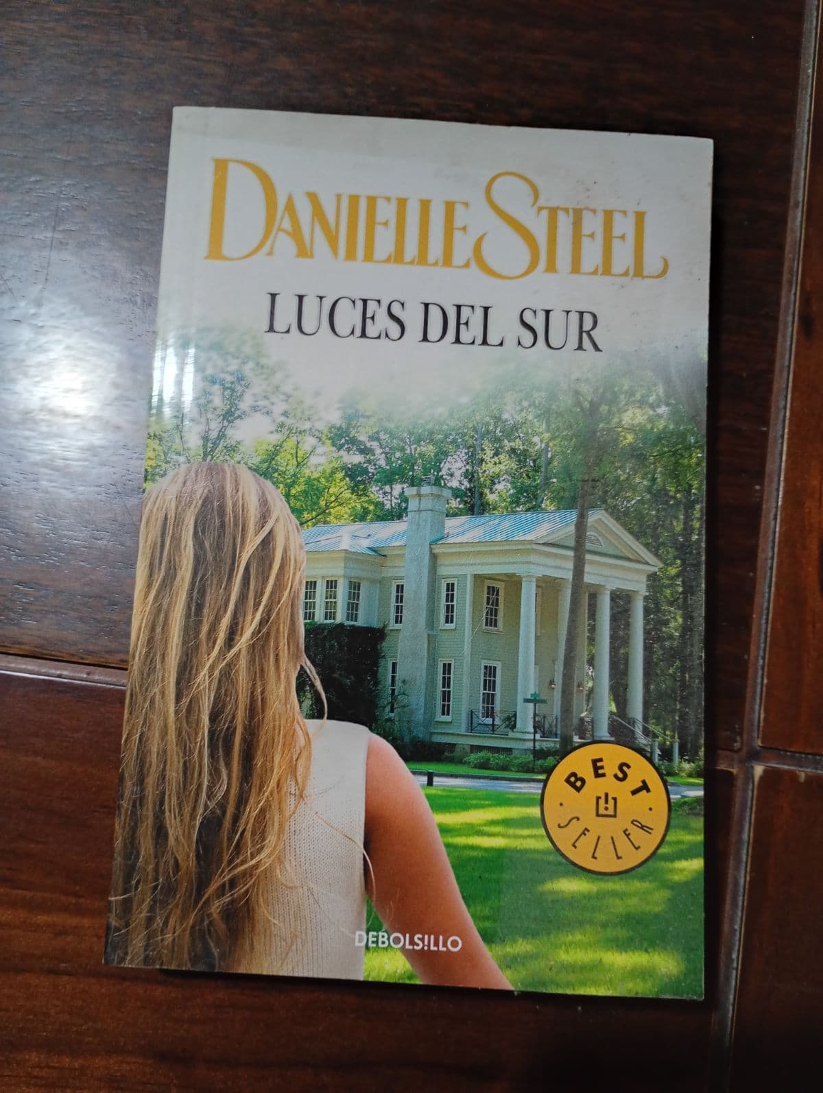 LUCES DEL SUR — Danielle Steel, libro usado (foto 1 de 4)