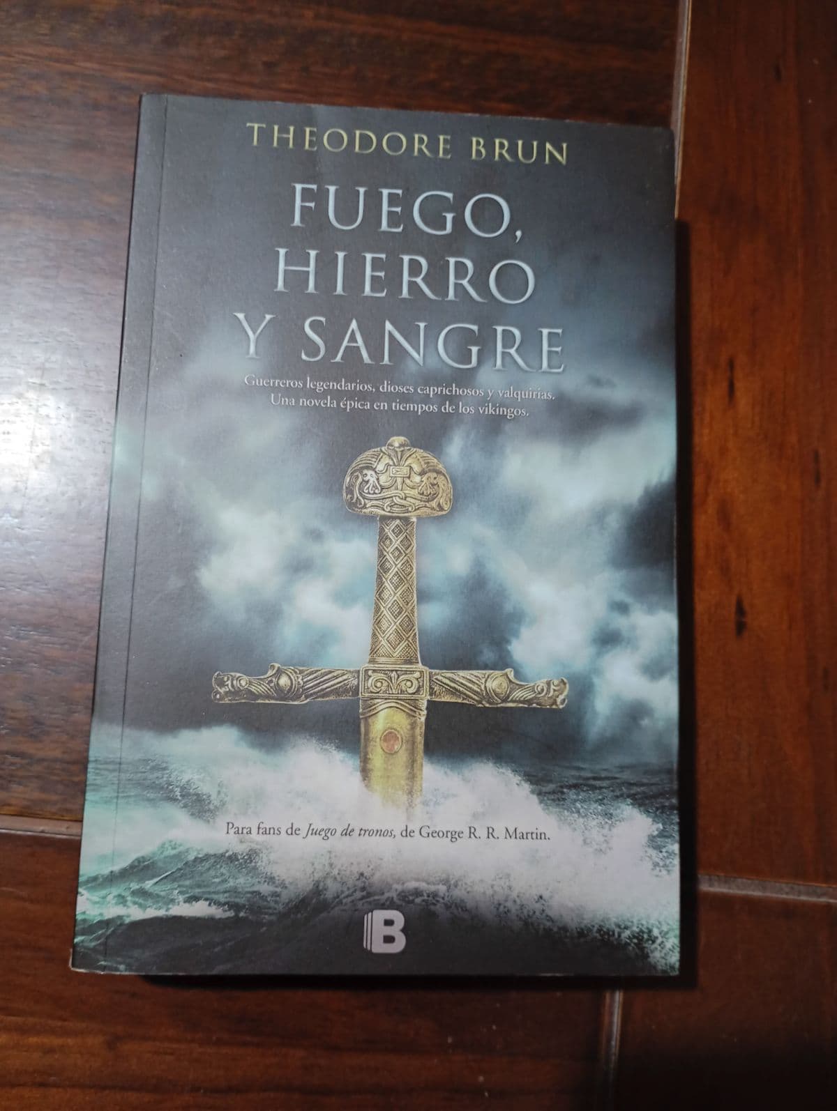 Fuego, Hierro y Sangre — Theodore Brun, libro usado (foto 1 de 4)