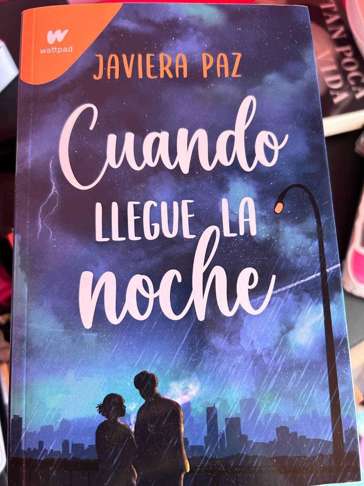 Cuando llegue la noche — Javiera Paz, libro usado