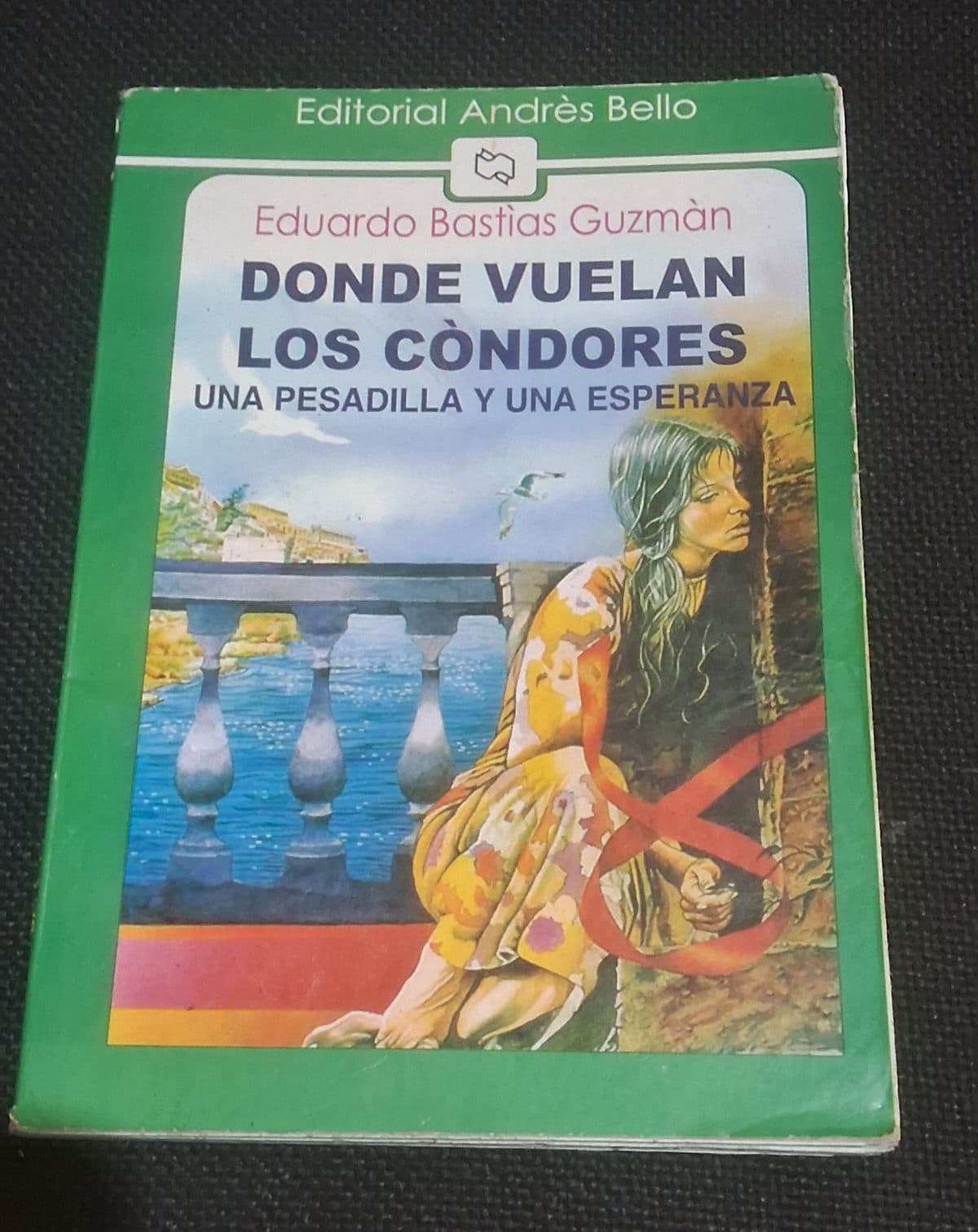 Donde Vuelan los Cóndores: Una Pesadilla y una Esperanza — Eduardo Bastías Guzmán, libro usado