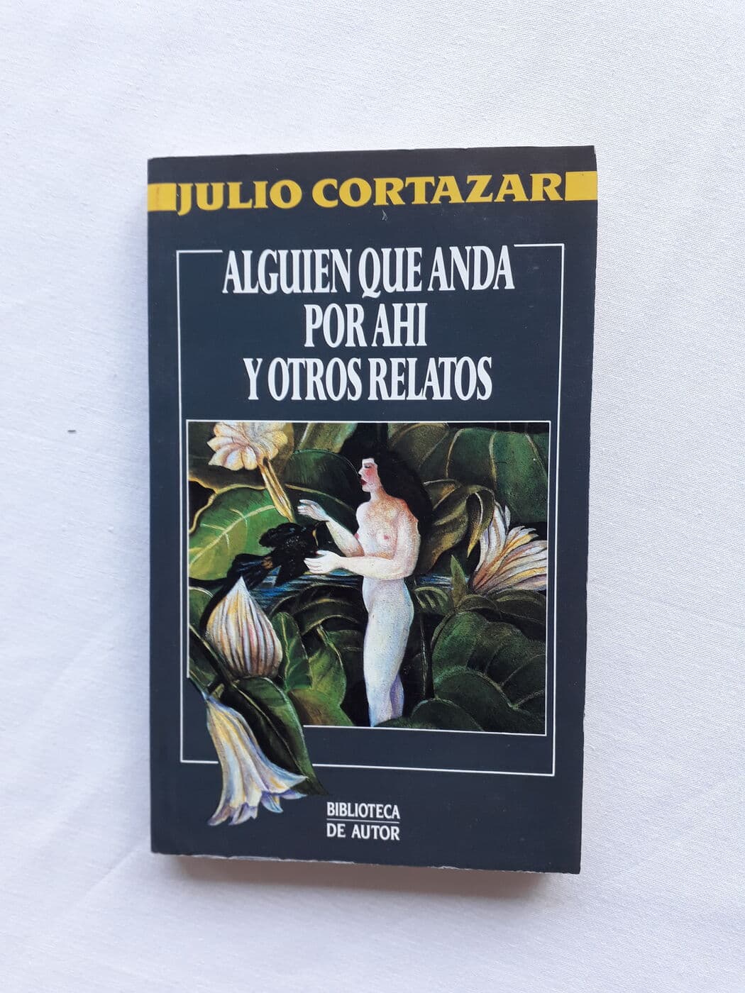Alguien que anda por ahí y otros relatos — Julio Cortázar, libro usado