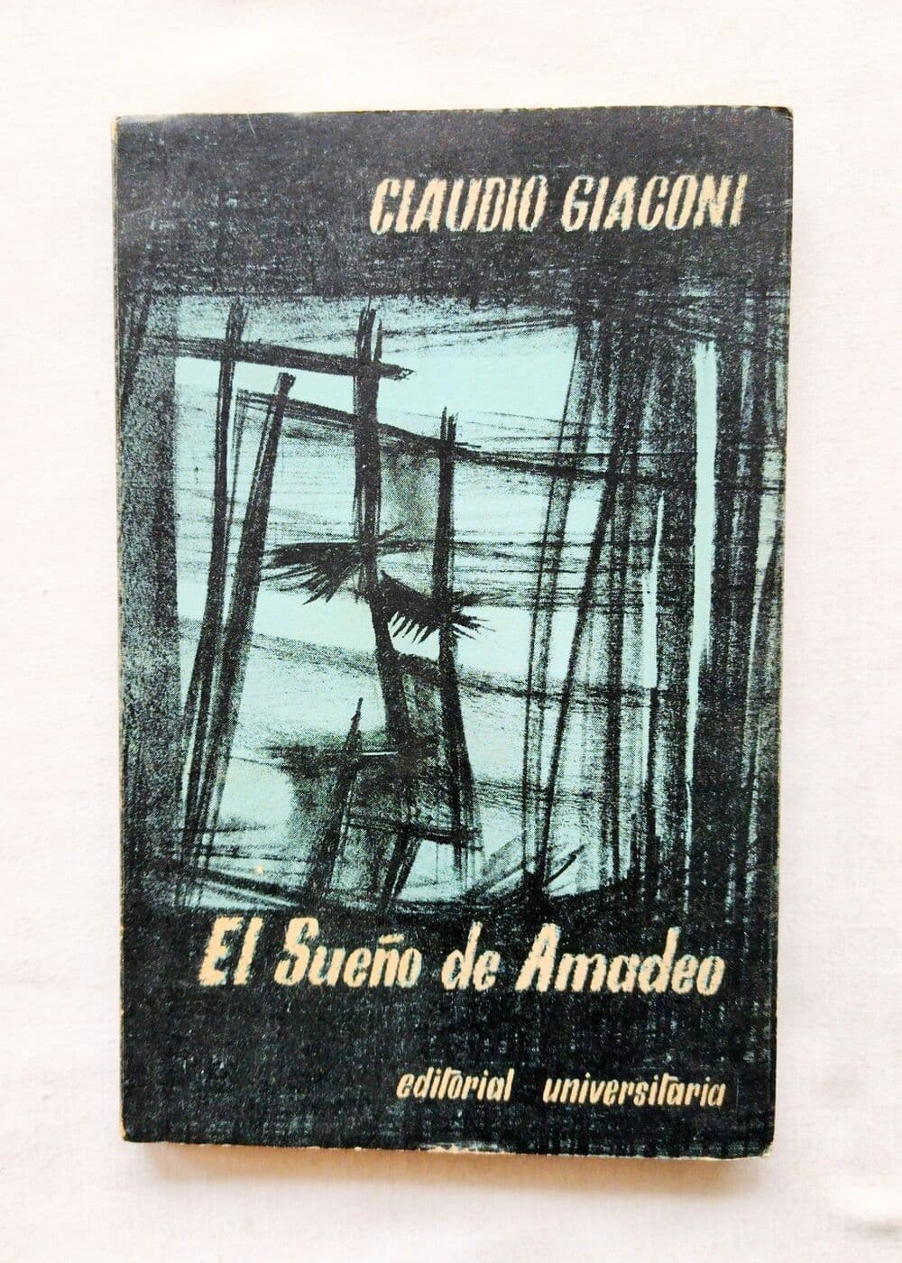 El sueño de Amadeo — Claudio Giaconi, libro usado