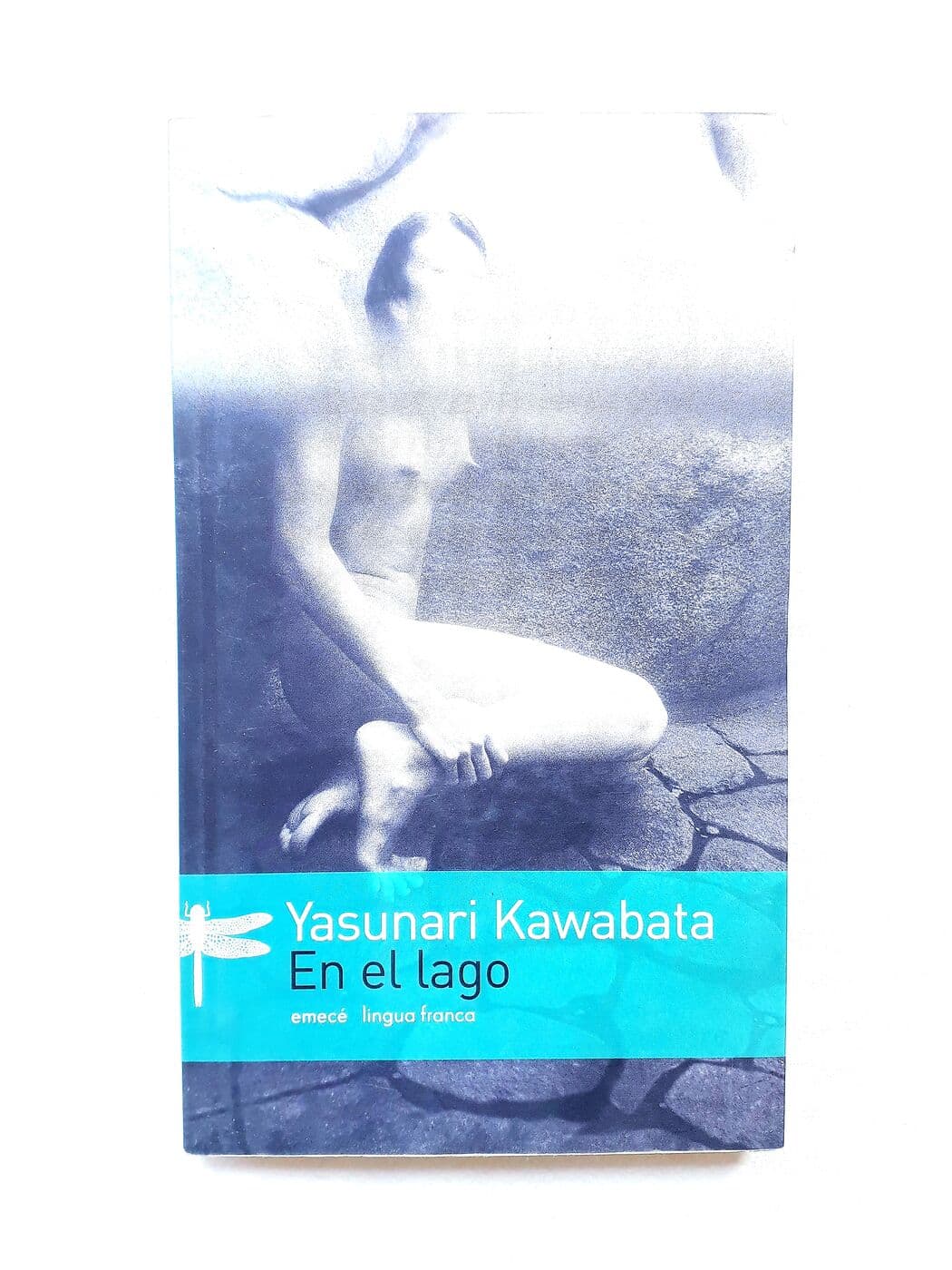 En el lago — Yasunari Kawabata, libro usado