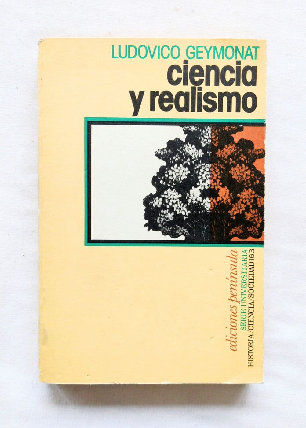 Ciencia y realismo — Ludovico Geymonat, libro usado
