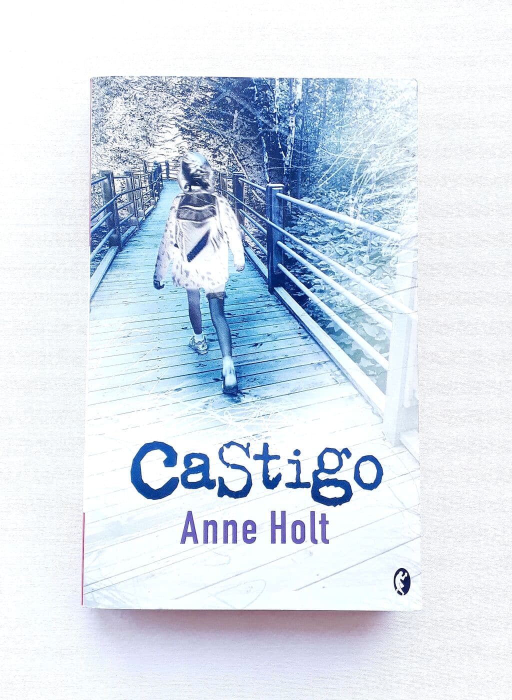 Castigo — Anne Holt, libro usado