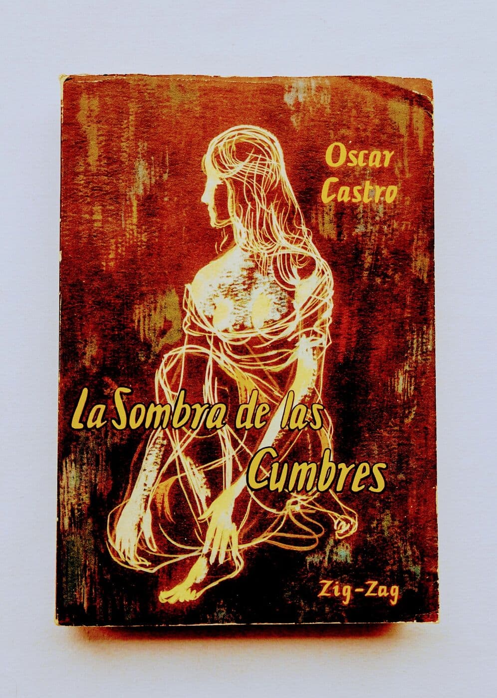 La sombra de las cumbres — Oscar Castro, libro usado