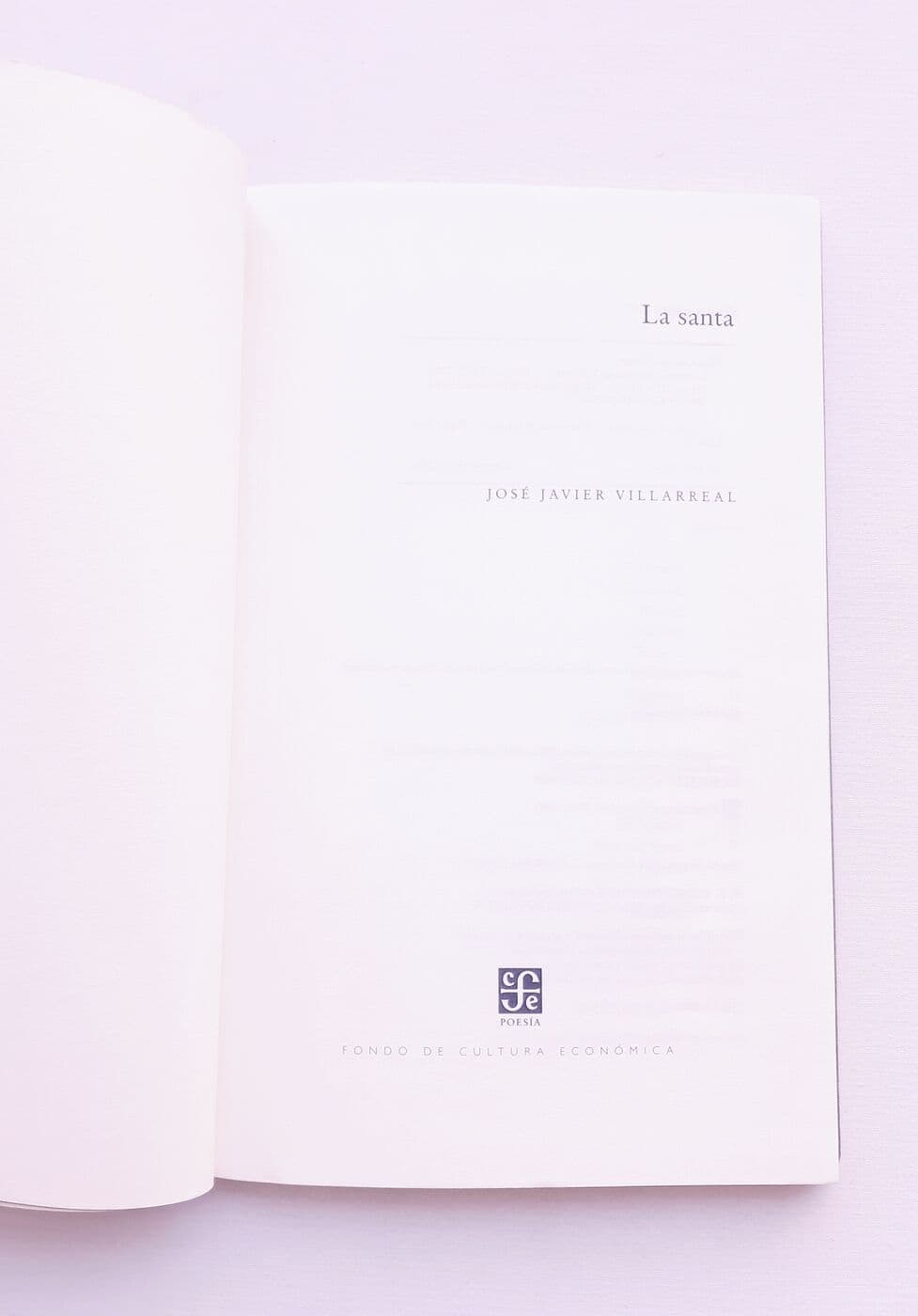 La santa — Jose Javier Villarreal, libro usado (foto 2 de 2)
