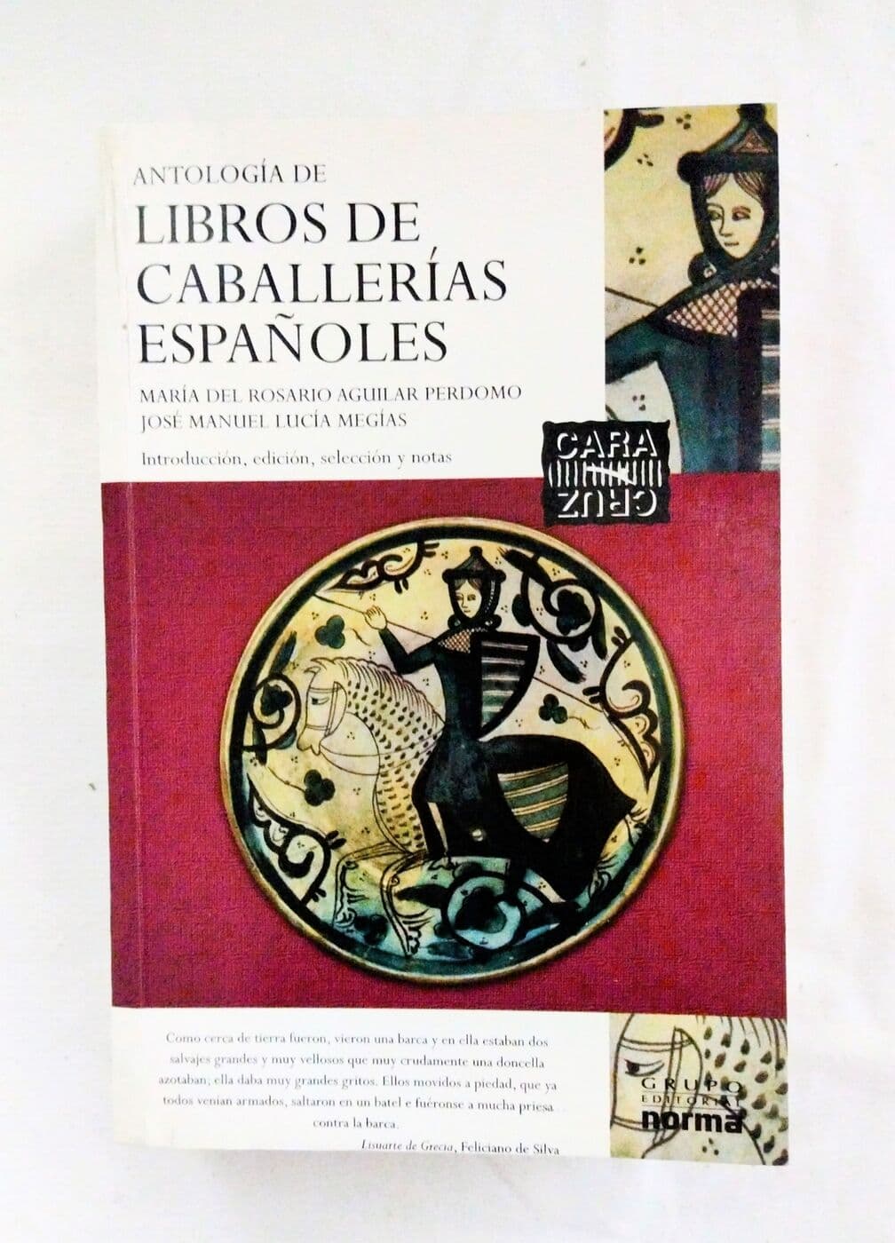 Antología de libros de caballerías españoles, A propósito de los libros de caballerías españoles (Un titulo por lado) — María del Rosario Aguilar Perdomo, José Manuel Lucía Megías, libro usado