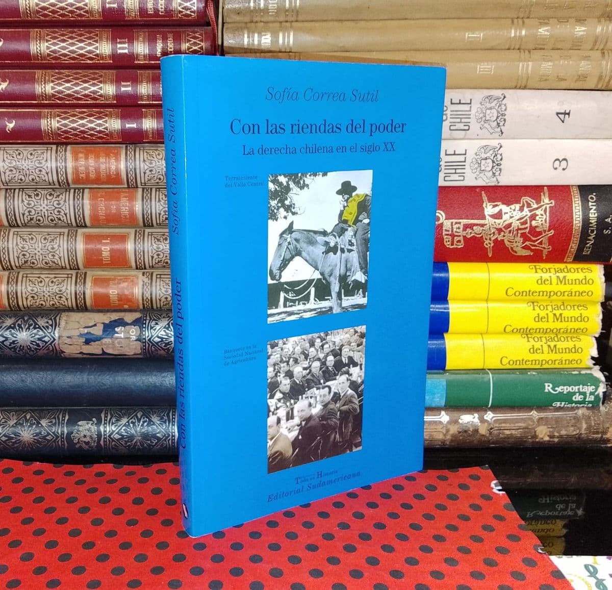 Con Las Riendas Del Poder