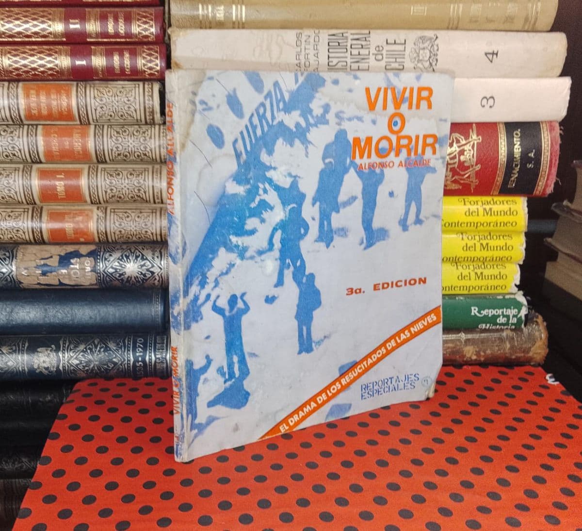 Vivir O Morir — Alfonso Alcalde, libro usado (foto 1 de 6)