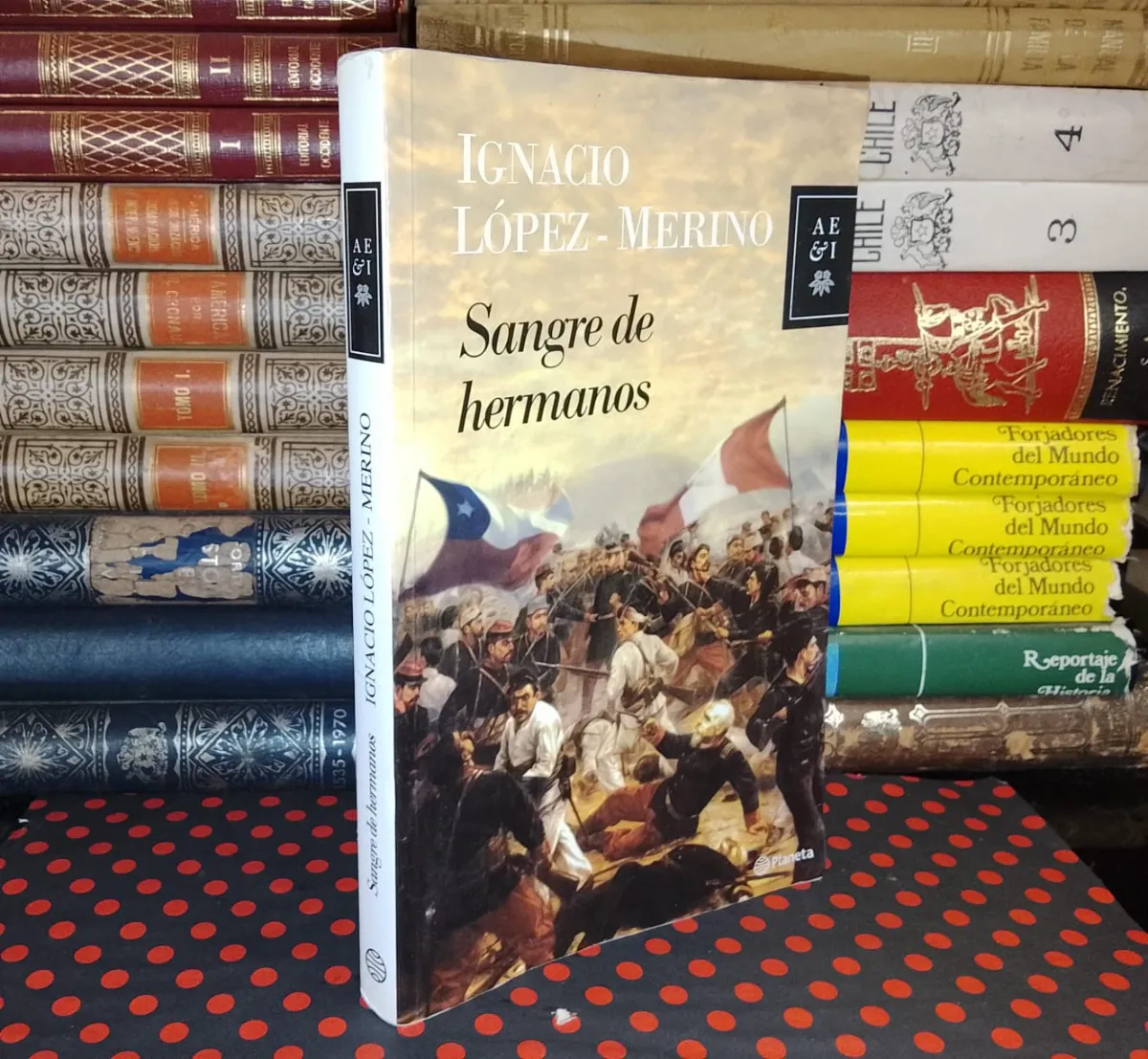 Sangre De Hermanos — Ignacio López - Merino, libro usado (foto 1 de 7)
