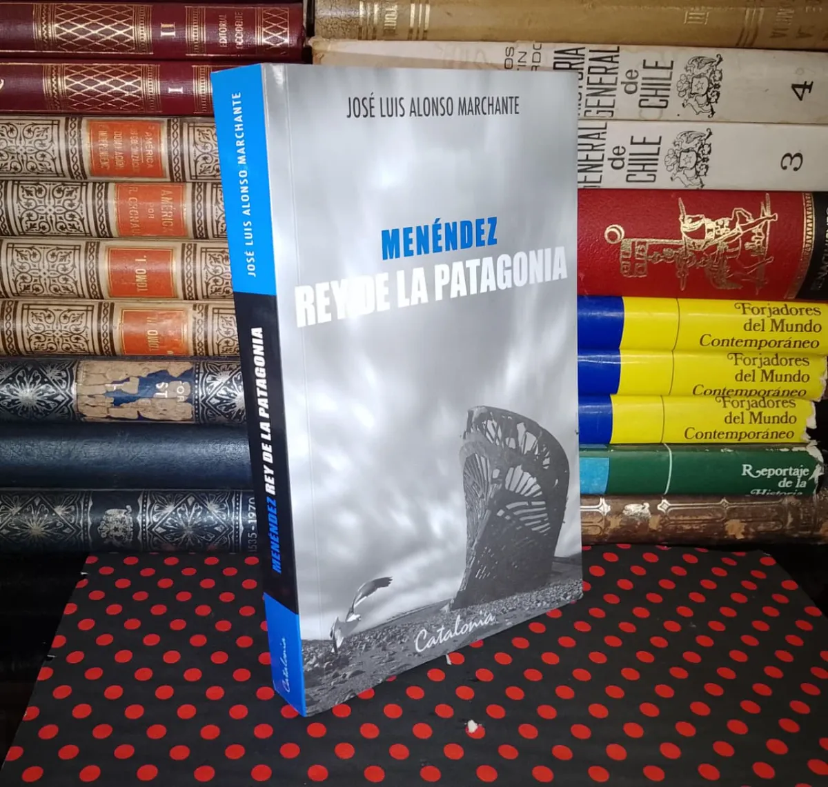 Menéndez Rey De La Patagonia — José Luis Alonso Marchante, libro usado (foto 1 de 5)