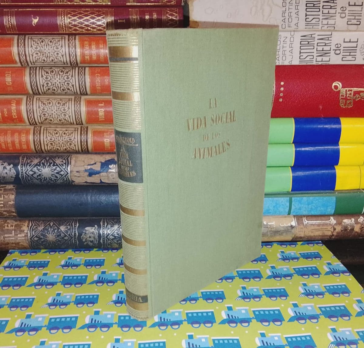 La Vida Social De Los Animales — Hans Wohlbold, libro usado