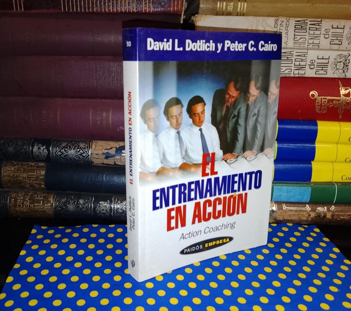 El Entrenamiento en Acción — David L. Dotlich; Peter C. Cairo, libro usado