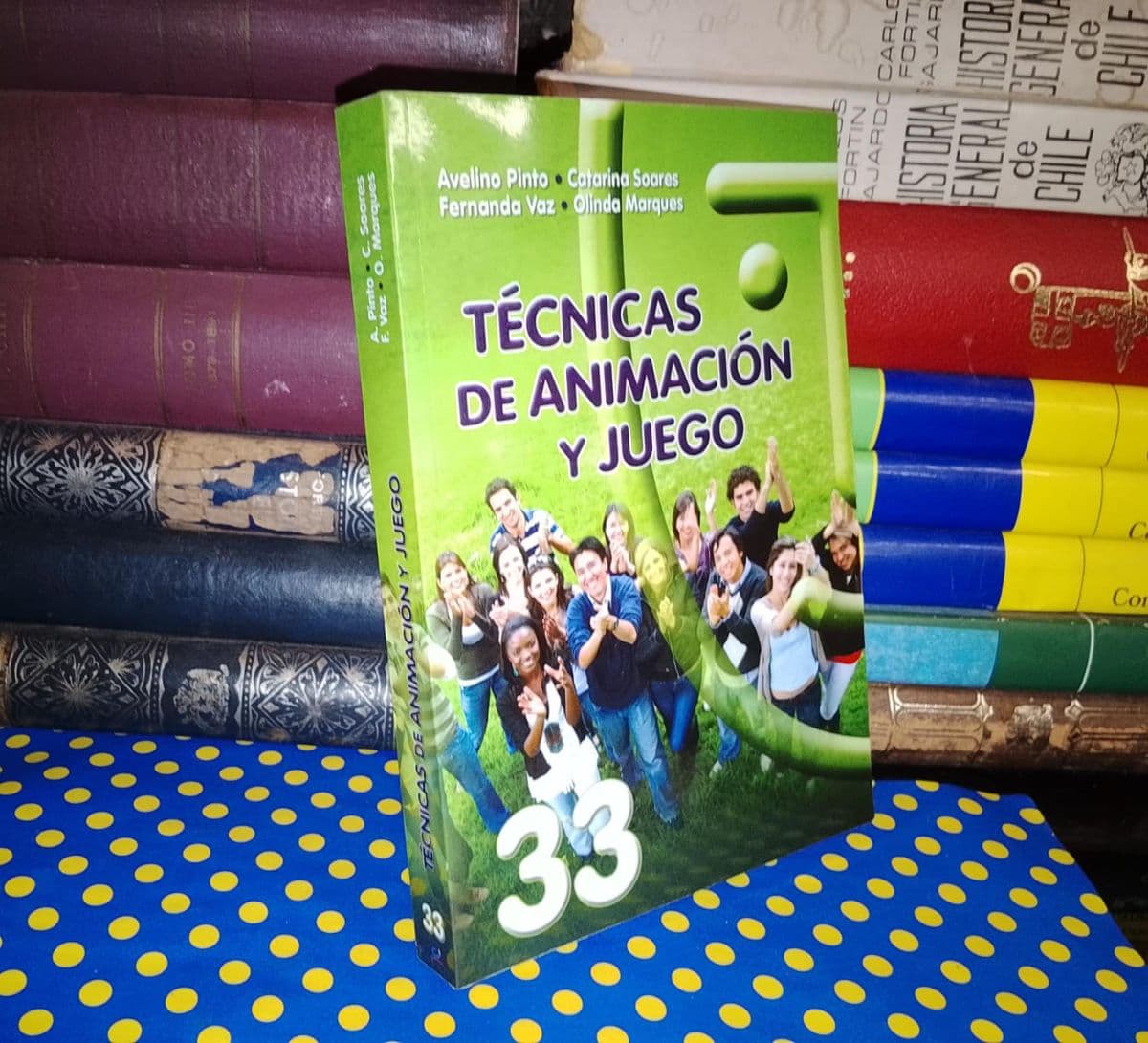 Técnicas de Animación y Juego — Avelino Pinto; Catarina Soares; Fernanda Vaz; Olinda Marques, libro usado