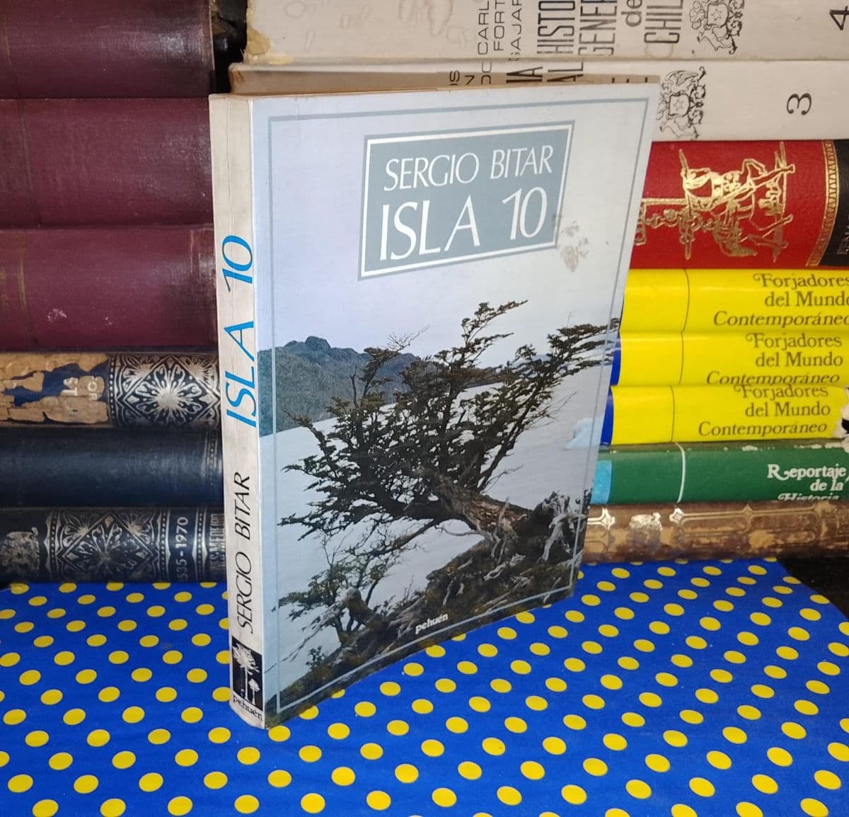 Isla 10 — Sergio Bitar, libro usado (foto 1 de 3)