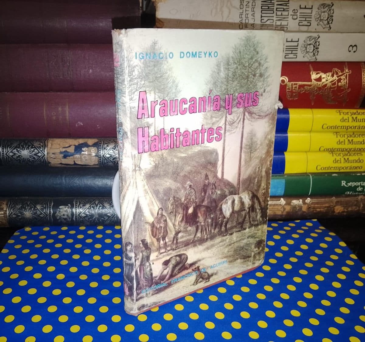 Araucanía Y Sus Habitantes — Ignacio Domeyko, libro usado (foto 1 de 4)