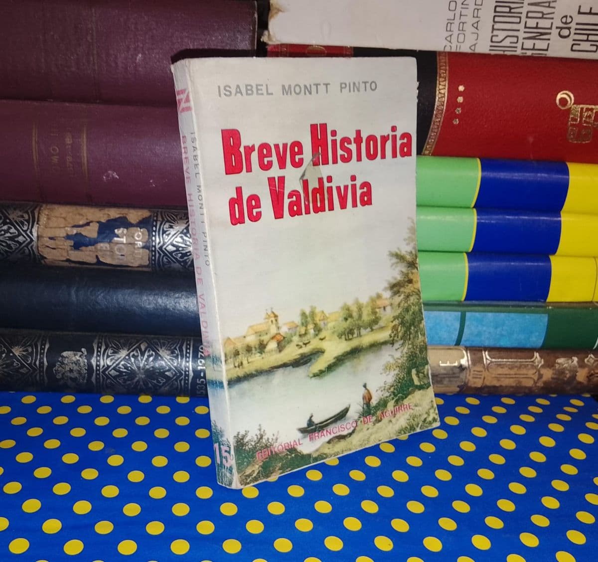 Breve Historia De Valdivia — Isabel Montt Pinto, libro usado (foto 1 de 5)