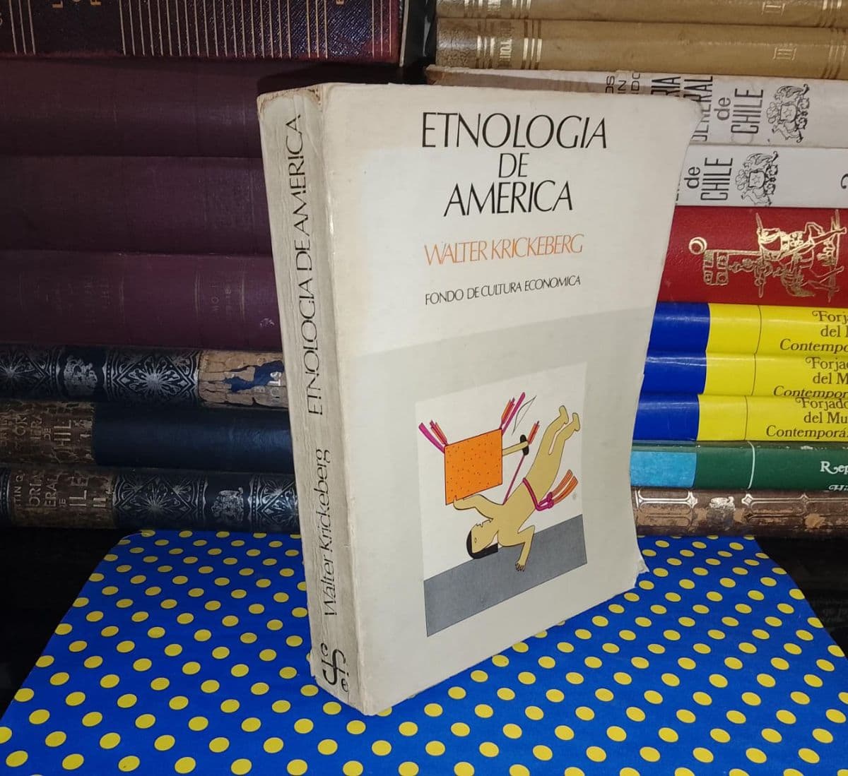 Etnología De América — Walter Krickeberg, libro usado (foto 1 de 6)