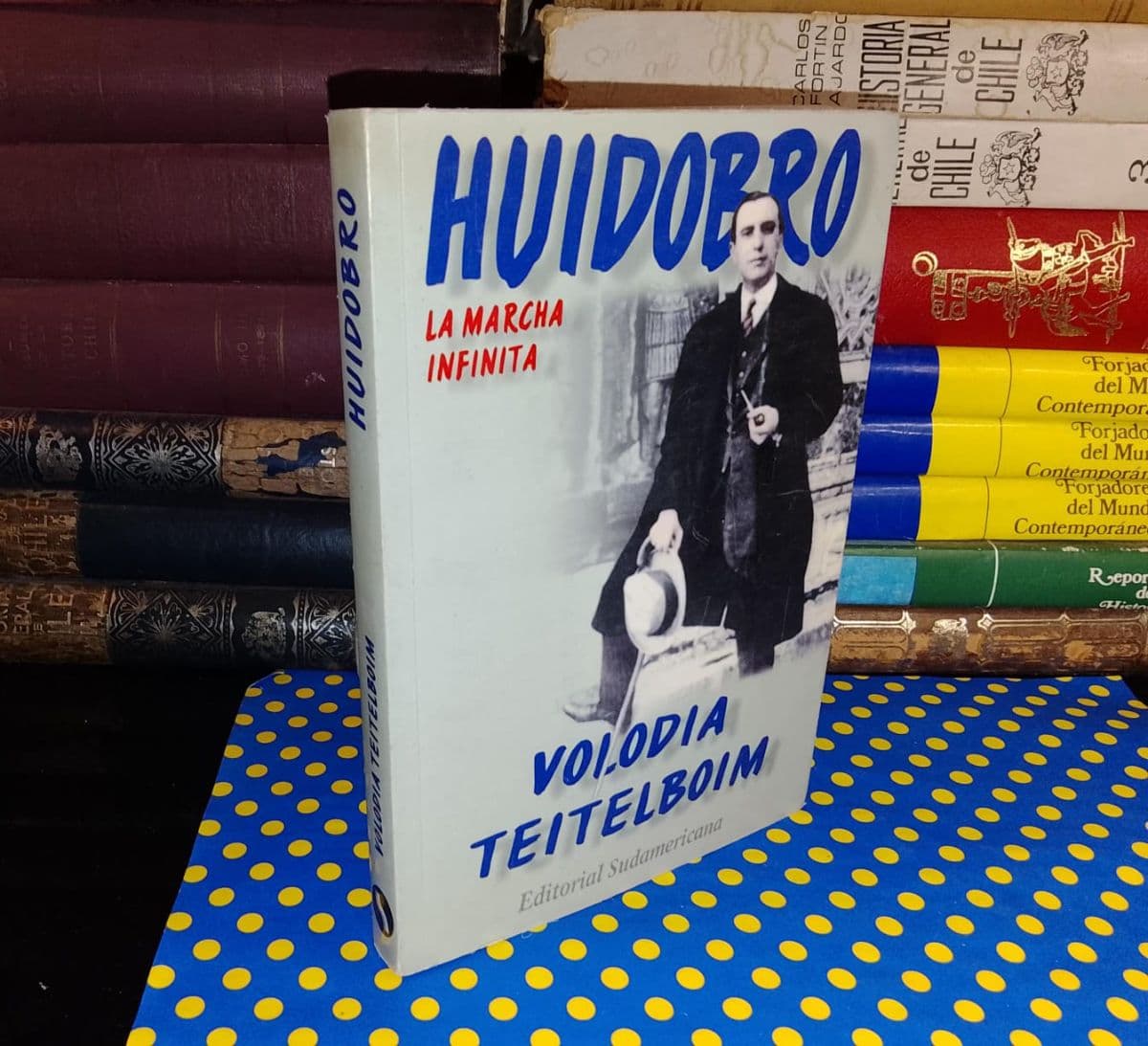 Huidobro La Marcha Infinita — Volodia Teitelboim, libro usado