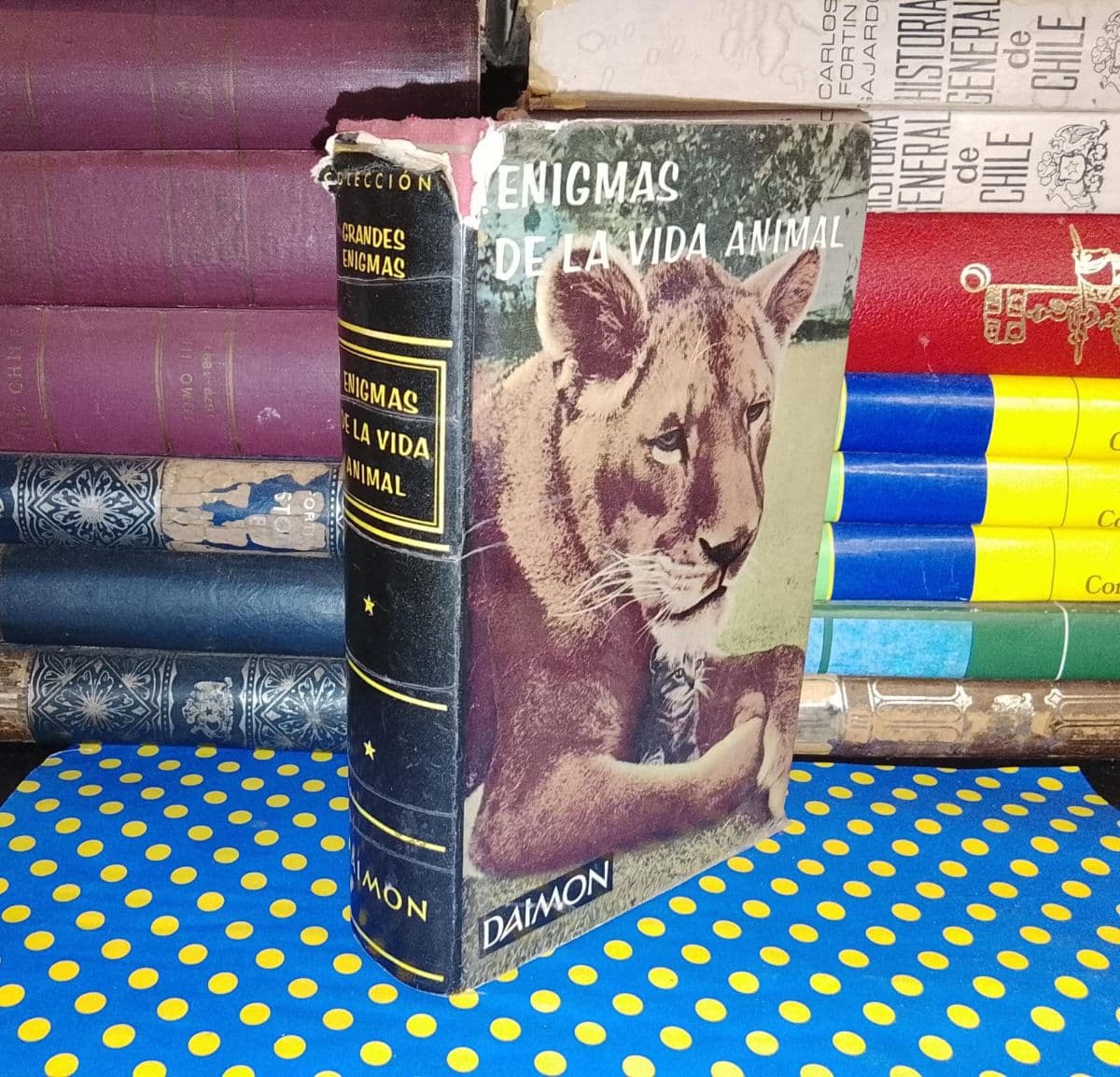 Enigmas De La Vida Animal — Rudolf Freericks, libro usado (foto 1 de 6)