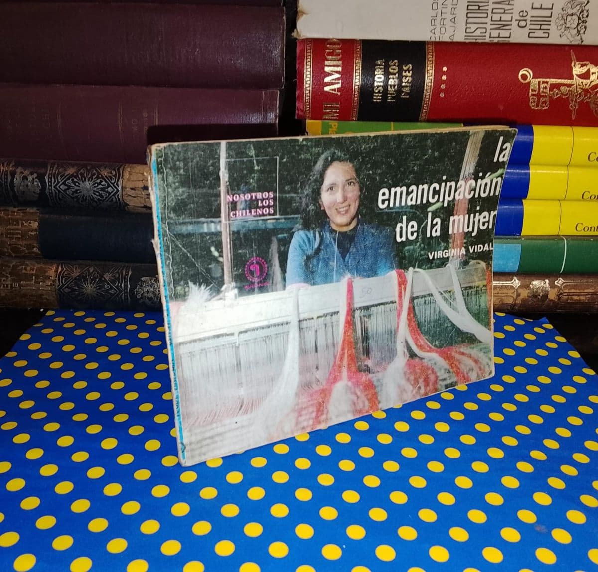 La Emancipación De La Mujer — Virginia Vidal, libro usado (foto 1 de 4)