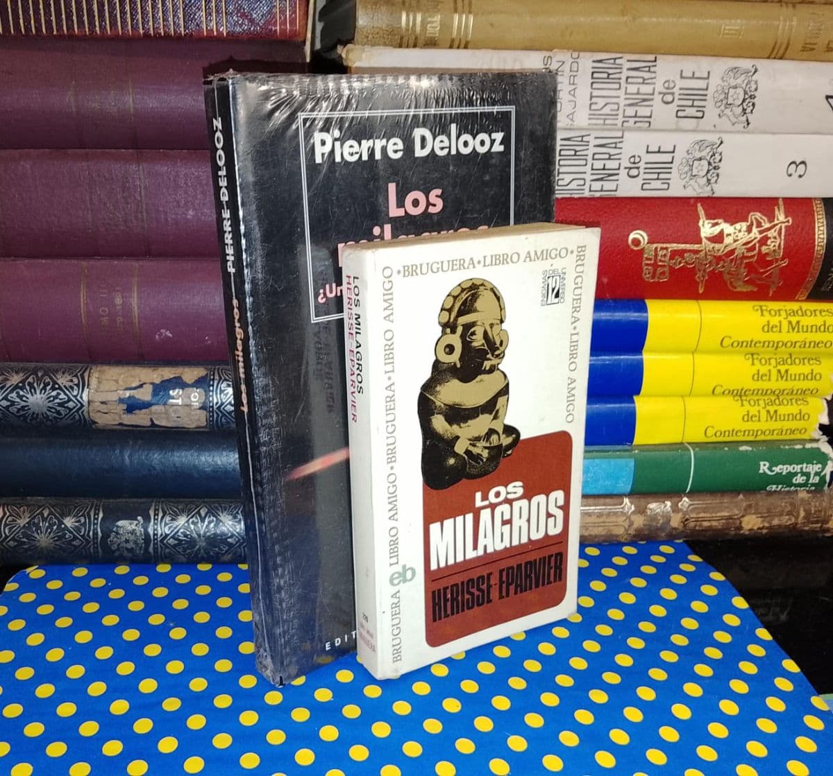 Tema: Los Milagros - Pack 2 Libros - — Herisse-Eparvier | Pierre Delooz, libro usado
