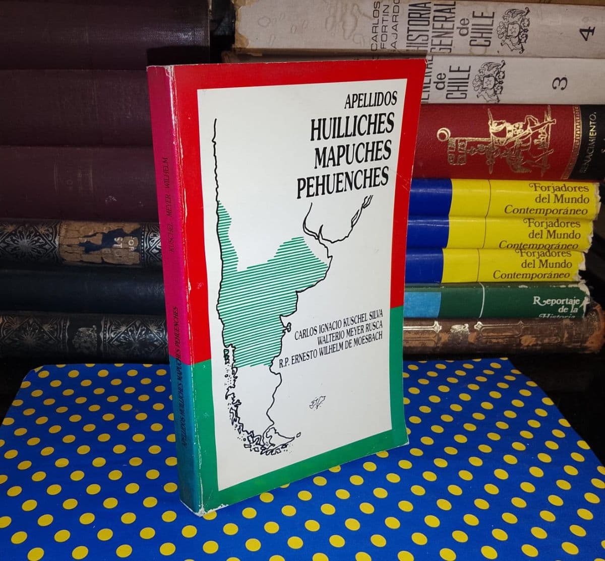 Apellidos Huilliches Mapuches Pehuenches