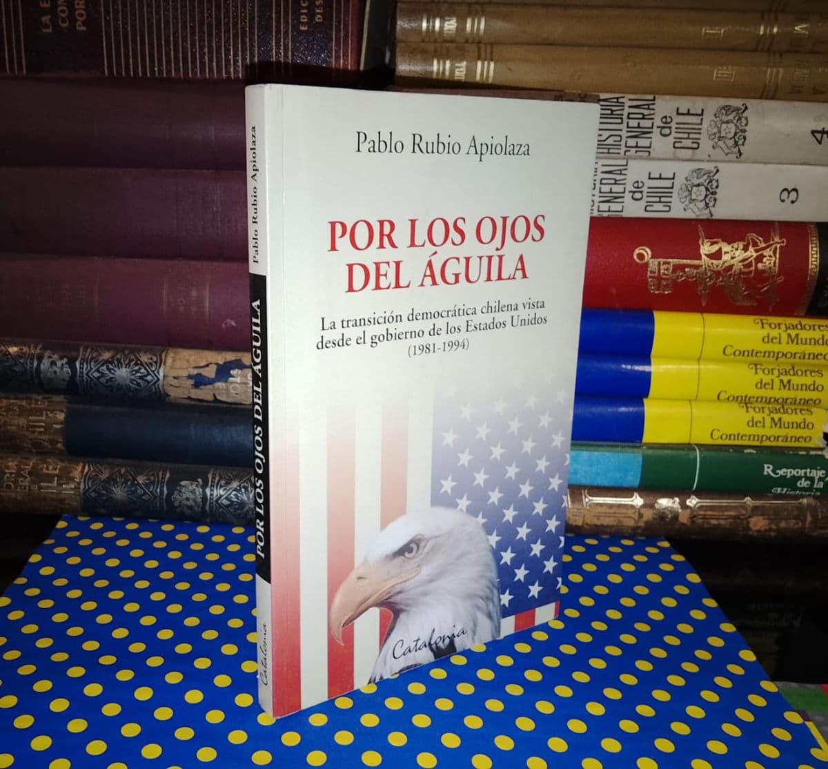 Por Los Ojos Del Águila — Pablo Rubio Apiolaza, libro usado (foto 1 de 4)