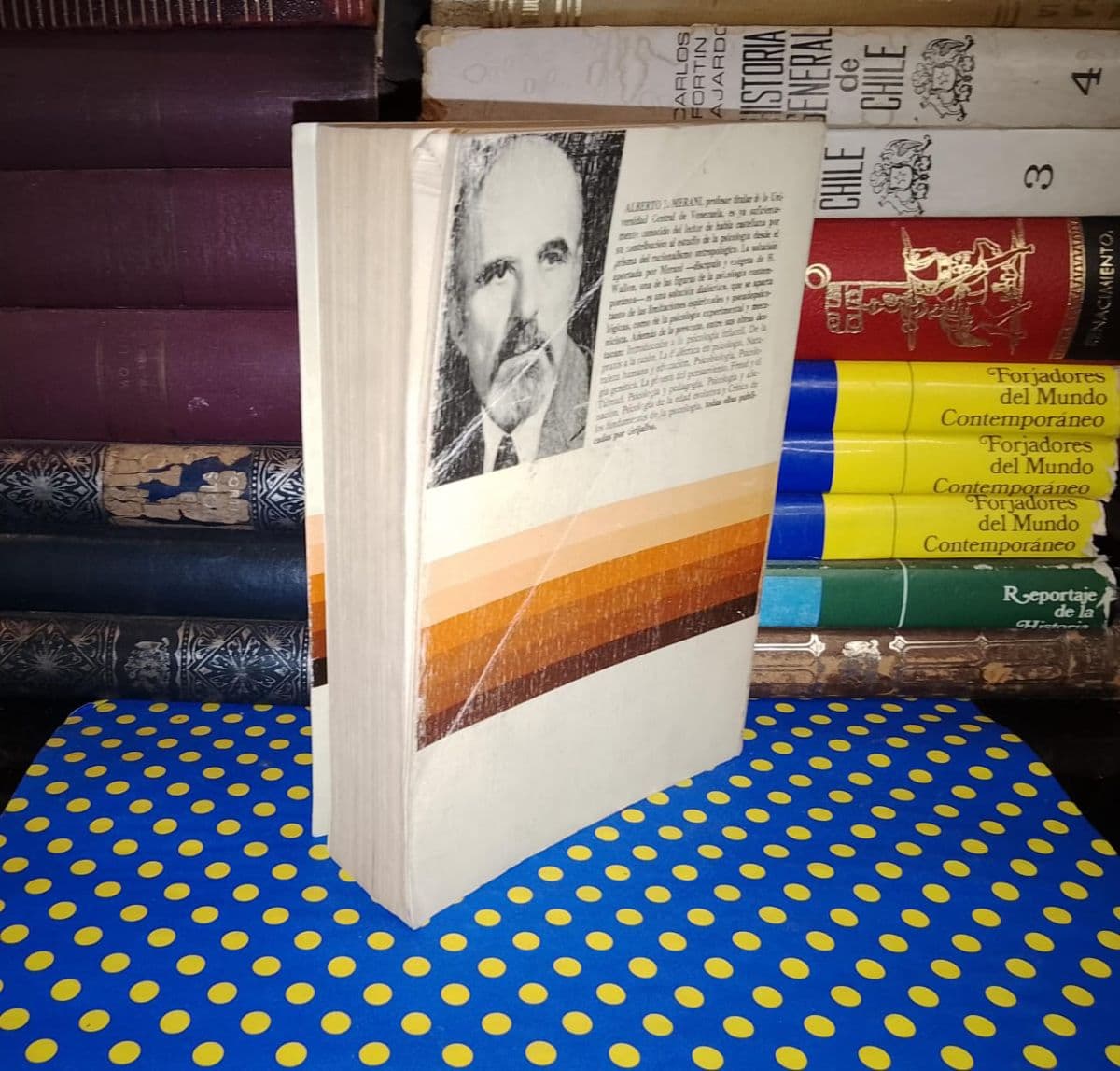 Historia Crítica De La Psicología — Alberto L. Merani, libro usado (foto 2 de 6)