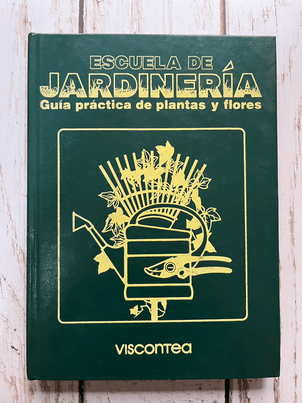 Escuela de jardinería. Guía práctica de plantas y flores