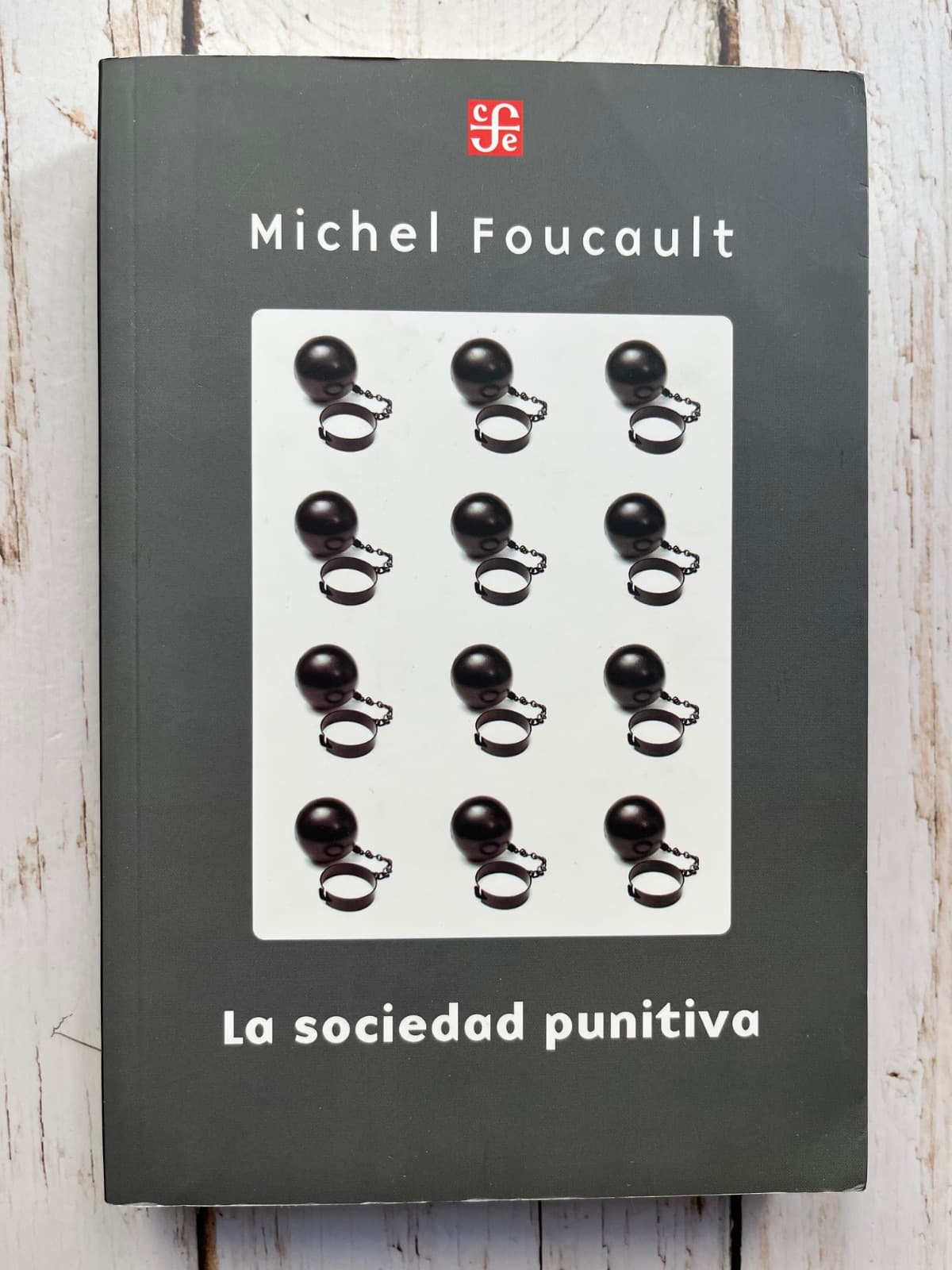 La Sociedad Punitiva