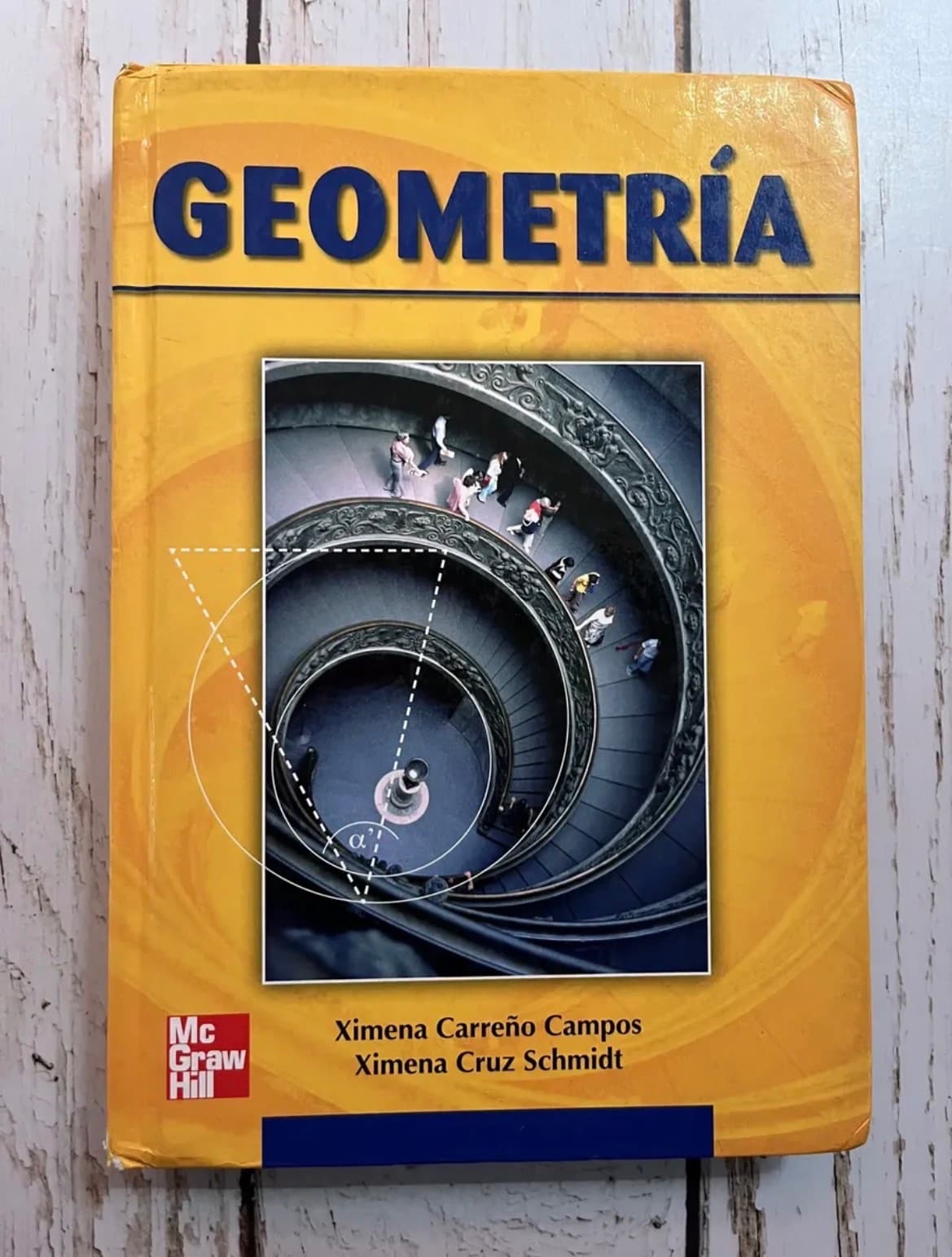 Geometría — Ximena Carreño, libro usado