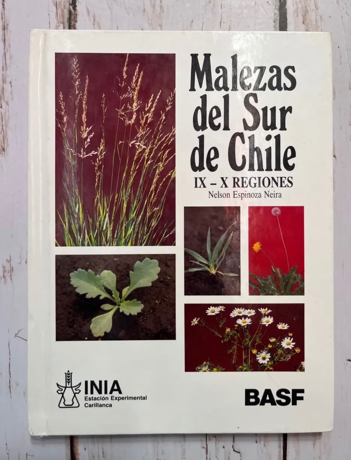 Malezas del Sur de Chile (IX-X Regiones) — Nelson Espinoza Neira, libro usado