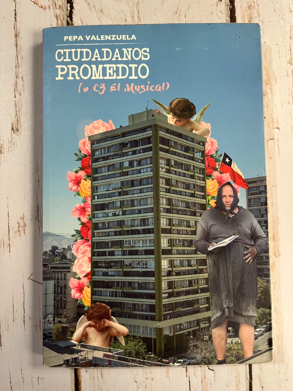 📚 Ciudadanos promedio (o C3 el musical) — Pepa Valenzuela, libro usado (foto 1 de 6)