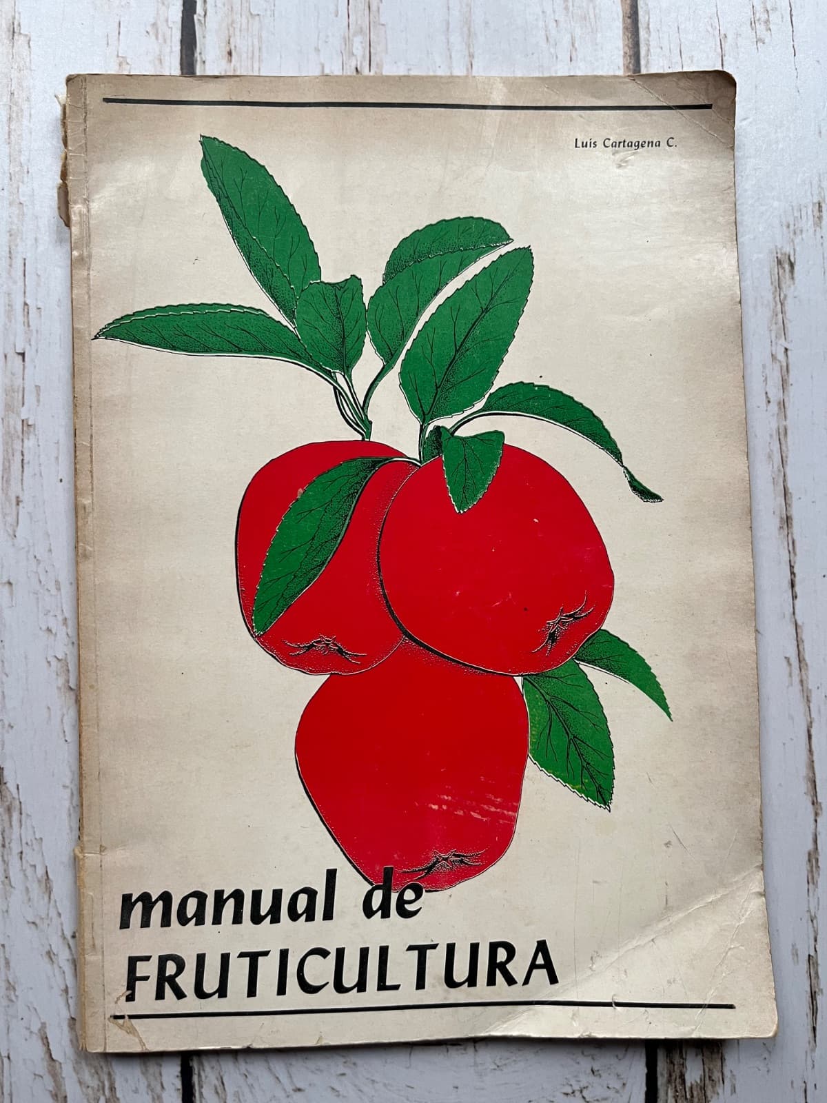 📚 Manual de Fruticultura – Luis Cartagena C. — Luis Cartagena C., libro usado