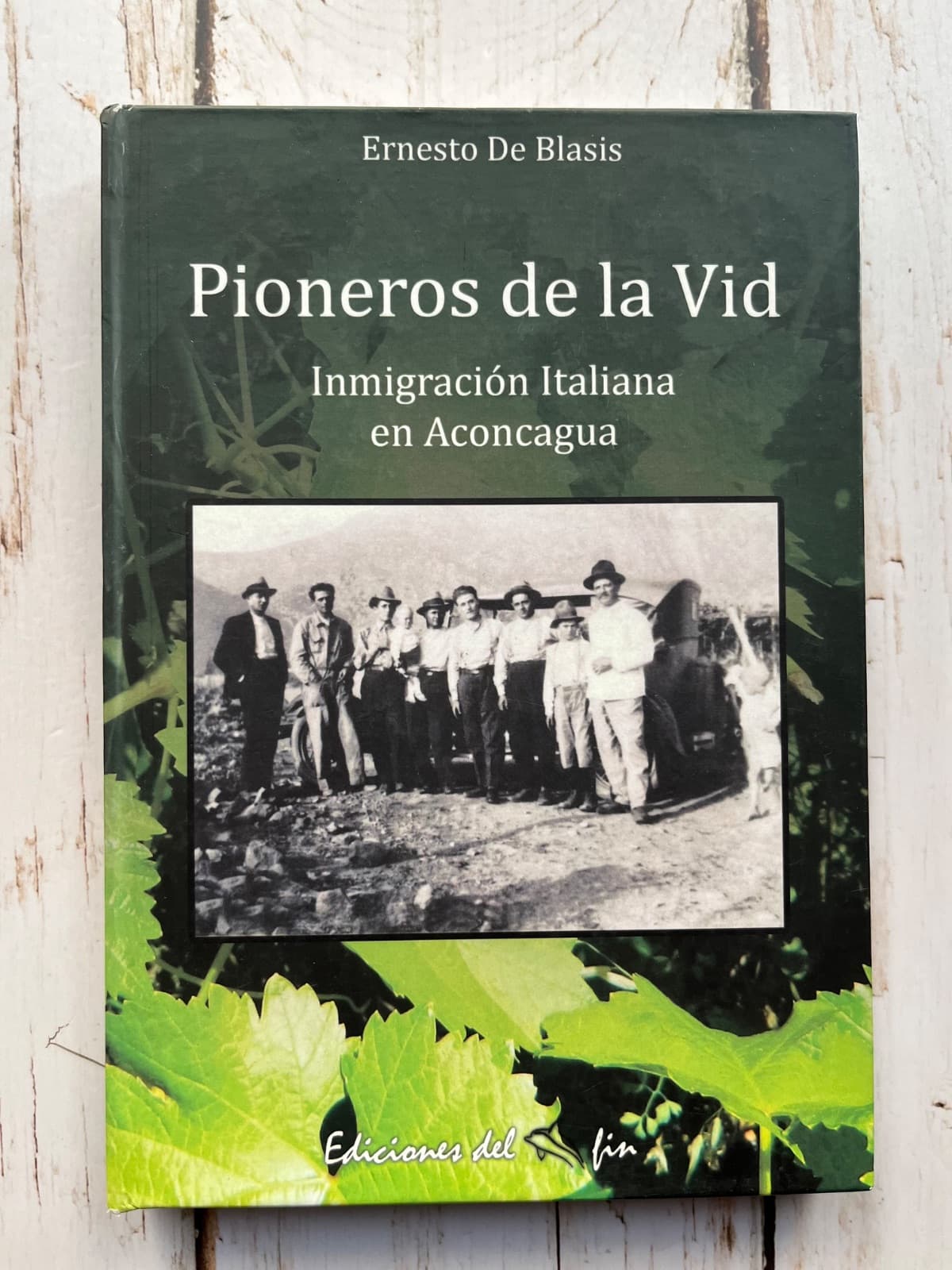 Pionero de la Vid Inmigración Italiana en Aconcagua — Ernesto de Blasis, libro usado (foto 1 de 6)