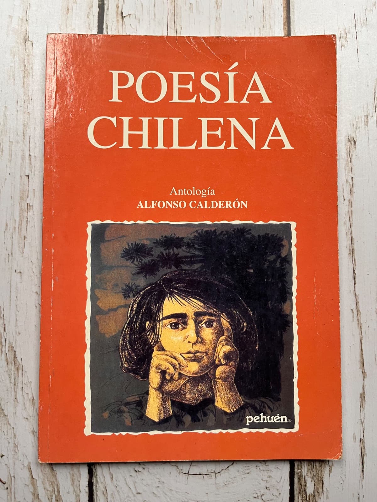 Poesía chilena — Antología de Alfonso Calderón, libro usado (foto 1 de 6)