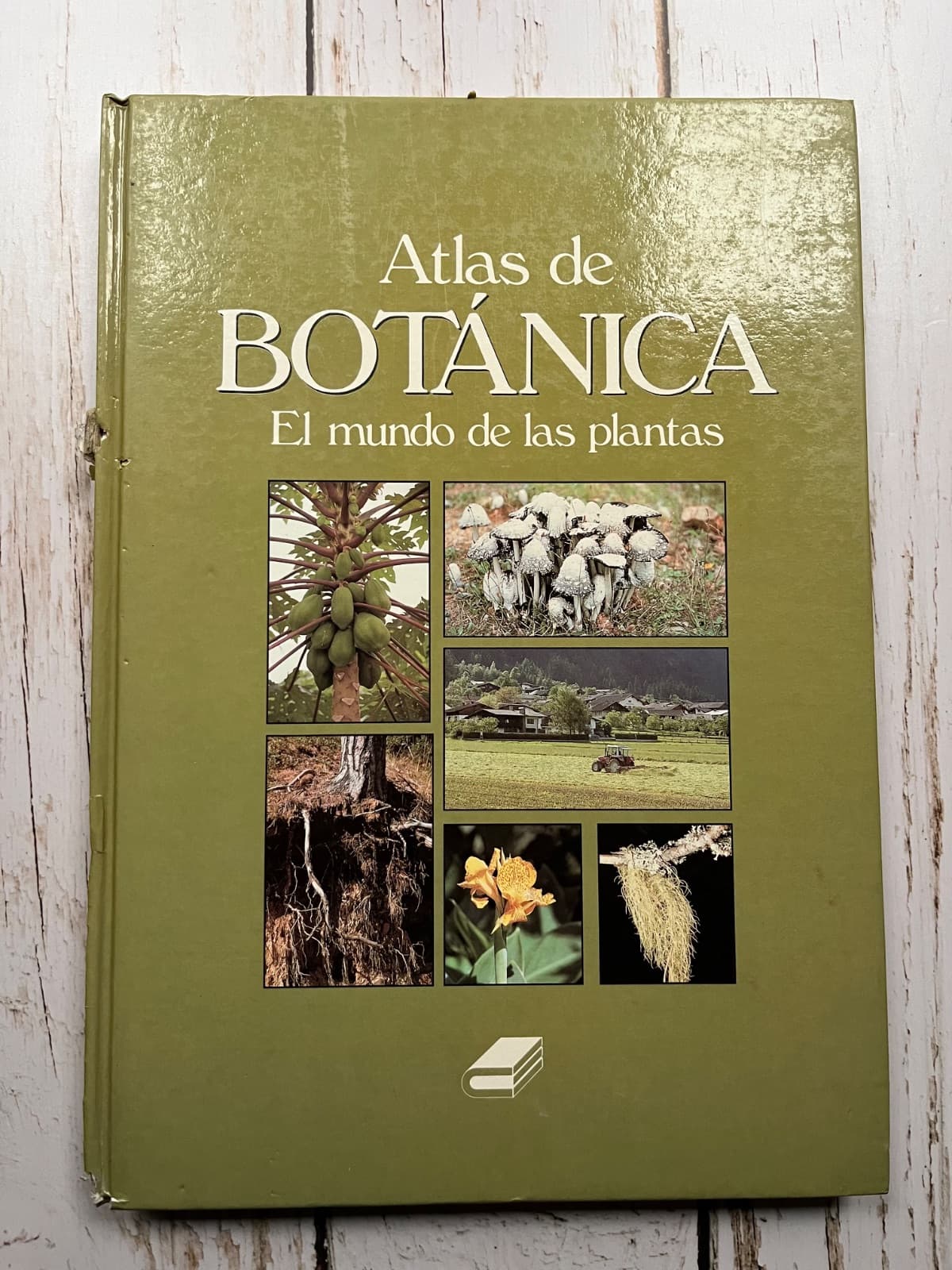 📚 ATLAS DE BOTÁNICA. EL MUNDO DE LAS PLANTAS — Varios, libro usado (foto 1 de 6)