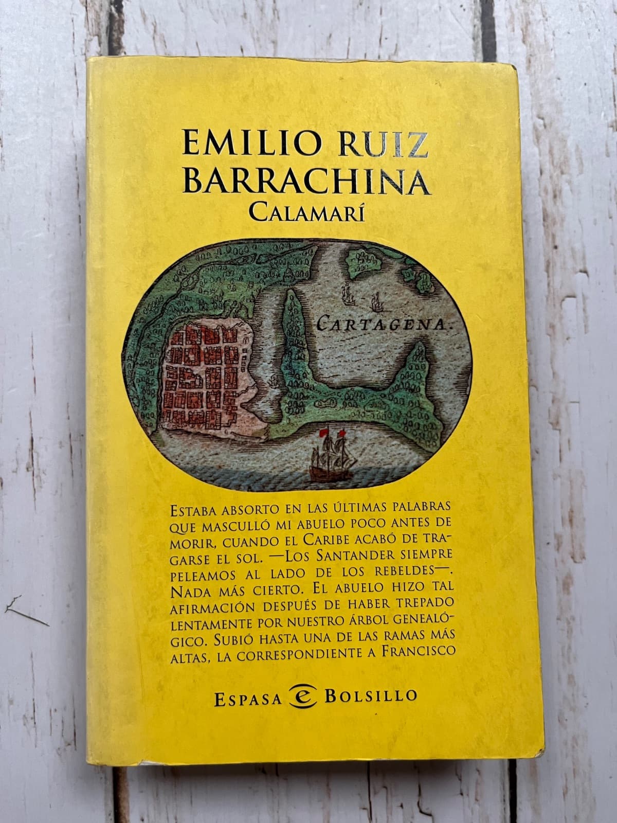 Calamarí — Emilio Ruiz Barrachina, libro usado (foto 1 de 6)